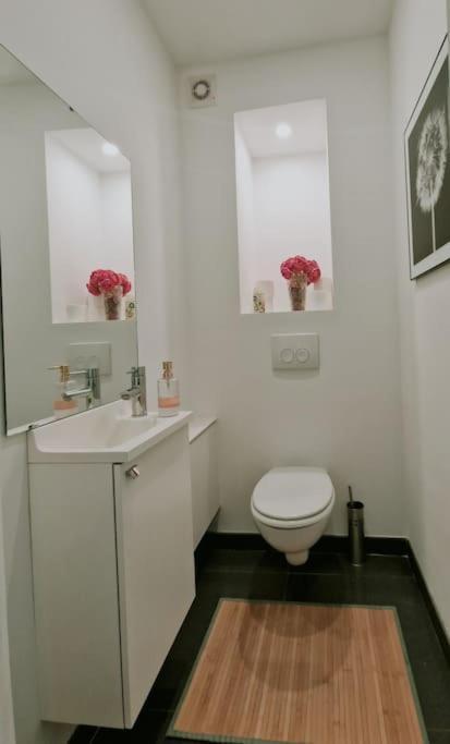Le Cocon Du Midi - Appartement Cosy Brussel Eksteriør bilde
